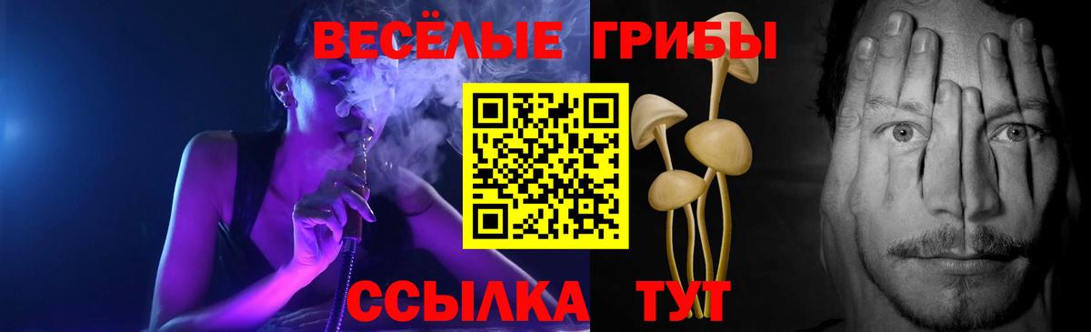 Псилоцибиновые грибы Psilocybe  Псилоцибиновые грибы Magic Shrooms  Красноармейск  Вход с VPN 